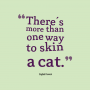 (오늘의 영어단어) There's more than one way to skin a cat...