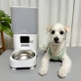 넬로 스마트 홈 카메라 자동급식기로 강아지 사료양 맞춰 다이어트
