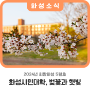 화성시민대학, 벚꽃과 햇빛_희망화성5월호