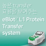 629호-단백질 크기에 상관없는 높은 transfer 효율을 보여주는 eBlot L1