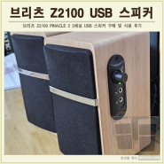 브리츠 USB 2채널 Z2100 스피커 구매 후기