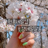 원흥 삼송네일 호강네일살롱, 5년단골 찐 후기 내돈내산