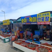 기장 연화리 해녀촌 거리 아름다운 바다 풍경 죽도까지 (영업시간, 가격)
