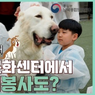 [영상] 2024 남북통합문화센터 자원봉사단 3기, 4월 '함께하는 유기동물 돌봄 자원봉사'