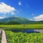 일본 오제습지 + 닛코 국립공원 5일 누구나 도전 가능!