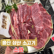 울산 삼산 소고기 소와, 삼산 룸식당 한우 맛집