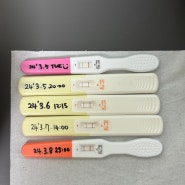 엄빠라니(1) / 임신극초기 임신초기 증상들 임신테스트 아기집 난황 심장소리 초음파