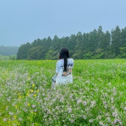 제주 3박 4일 여행 3일차 - 해월정, 성산 스타벅스, 빛의벙커, 비밀의숲, 런던베이글뮤지엄, 창꼼바위, 우도근고기, 동문시장