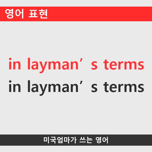 영어표현_in layman's terms : 네이버 블로그