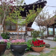 이천의 멋진 한옥 카페- 아름다운 정원은 덤