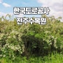 한국도로공사 전주 수목원 공조팝 장미 개화상황 5월 가볼만한곳