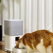 고양이 자동급식기 넬로 스마트 홈 카메라 원격 자동급식!