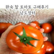 과즙가득 싱싱한 완숙 찰 토마토로 쥬스 스프 만들기 - 남도장터