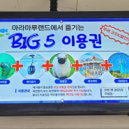 사천 케이블카 통합권 가격 주차장 이용방법! BIG5로 전부 즐기기!!