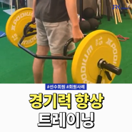 운동선수 트레이닝 경기력 향상 프로그램