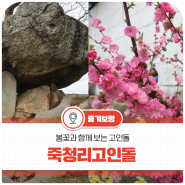 보령 역사여행지 | 걷기 좋은 죽청리고인돌