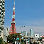 도쿄여행 도쿄타워 스팟 숨겨진 인생샷 장소 위치 공유