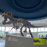 과천과학관에서 아이와 함께 세계 최대 공룡 티라노를 만나다