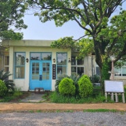 제주 아이랑 가볼만한 곳 한림카페 :: 명월국민학교
