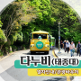 태종대여행 포토존 / 다누비 열차 운행시간/ 열차요금 / 주차안내 / 관광바우처 티켓