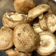 표고버섯요리 강원도 미사밸리농장 보관법