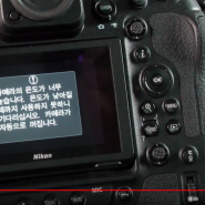 니콘 Z9, 8K60p N-RAW 동영상 녹화시 발열 끝장 테스트