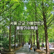 오산 물향기수목원 서울 근교 대중교통으로 가기 좋아요