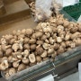 이마트 송화버섯 시식코너 레시피 버섯볶음 만드는 법과 트레이더스 매화 송이버섯 보관방법