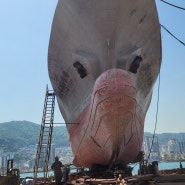 핸드폰으로 담은 부산 깡깡이마을, 자갈치시장, 국제시장, 부산타워