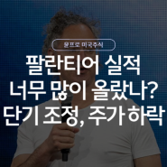 팔란티어 주가 전망 - 2년만에 최악인 주가 하락, 원인은?