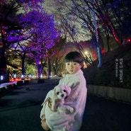 인천 수봉공원 야간 별빛축제 산책, 주차장 여기