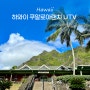 하와이 여행 쿠알로아랜치 UTV 랩터투어 예약 무비투어 차이 비교