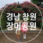 창원 장미공원 방문후기(2024.05.07)