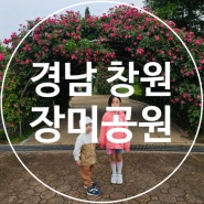 창원 장미공원 방문후기(2024.05.07)