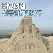 태안 아이와 가볼만한곳 신두리해수욕장 신두리 해안사구 센터 사막