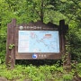 [양평] 산음자연휴양림 휴양관 제비꽃 숙박후기