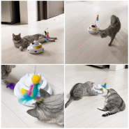 고양이 자동 장난감 후기 움직이는 장난감 레이저 사냥놀이
