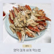 영덕 대게 맛집, 가격 싸게 가성비 좋게 먹는법