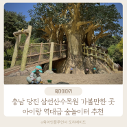 충남 당진 삼선산수목원 가볼만한 곳 아이랑 역대급 숲놀이터 추천