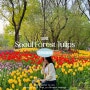 서울숲 튤립 피크닉하기 딱 좋은 5월 명소 (위치, 포토존 명당)