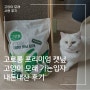 고양이가 좋아하는 고로롱 프리미엄 캣닢 고양이 모래 초극세사 가는입자 내돈내산 후기