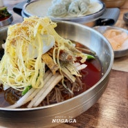 김포 걸포동 맛집 :: 냉온장 육전과 계란 지단 가득한 냉면 (구 박군자 진주냉면)