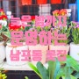[남포동] 늦은 밤까지 운영하는 남포동 플랜테리어 꽃집 선물용 카네이션 구입