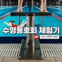 수영 동호회 체험기 : 수영 동호회 들면 좋은 점