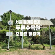 서울가볼만한곳 항동 푸른수목원 걷기좋은식물원 포토존 철길역