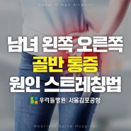 남녀 왼쪽 오른쪽 골반 통증 원인 스트레칭 방법｜우리들병원 서울김포공항