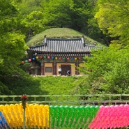 경주 세계문화유산 석굴암 주차 입장료이용후기 가볼만한곳 추천