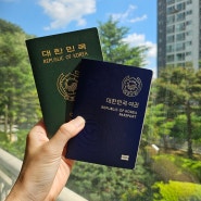여권 재발급 기간 준비물 우편 소요일 (용인수지구청)