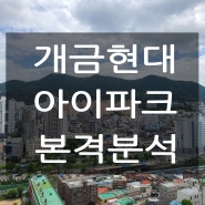 개금현대아이파크 아파트 경쟁력과 최근시세