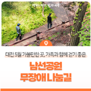 대전 5월 가볼 만한 곳, 가족과 함께 걷기 좋은 남선공원 무장애 나눔길